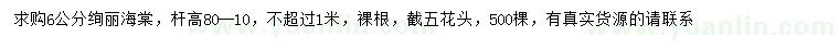求購6公分絢麗海棠