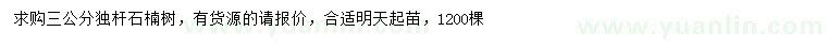 求購3公分石楠