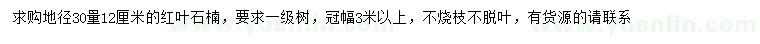 求購30量12公分紅葉石楠