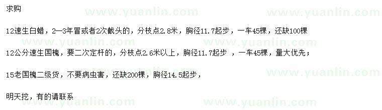 求購速生白蠟、速生國槐、老國槐