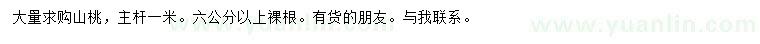 求購(gòu)6公分以上山桃樹(shù)
