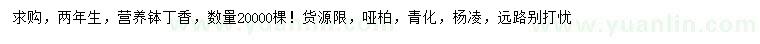 求購2年生丁香