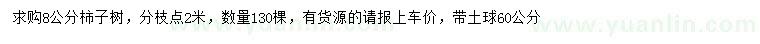 求購(gòu)8公分柿子樹