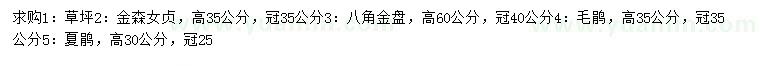求購草坪、金森女貞、八角金盤等