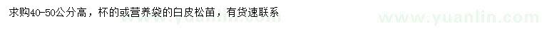 求購高40-50公分白皮松