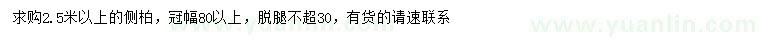 求購2.5米以上側(cè)柏