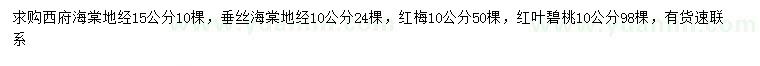 求購西府海棠、垂絲海棠、紅梅等
