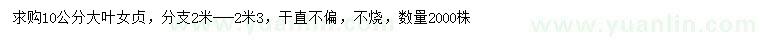 求購10公分大葉女貞