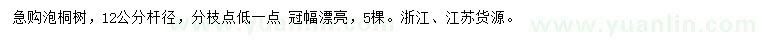 求購12公分泡桐樹