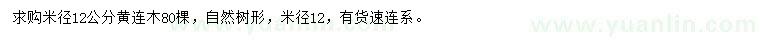 求購米徑12公分黃連木