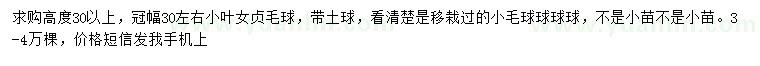求購冠幅30公分左右小葉女貞球