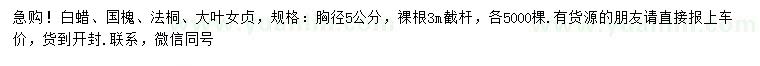 求購白蠟、國槐、法桐等