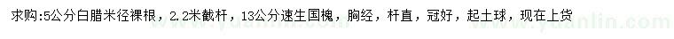 求購(gòu)米徑5公分白蠟、胸徑13公分速生國(guó)槐
