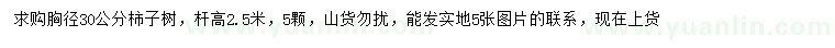 求購胸徑30公分柿子樹