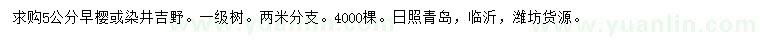 求購5公分早櫻、染井吉野櫻