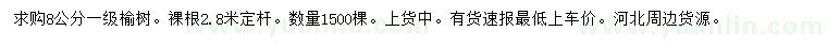 求購8公分榆樹