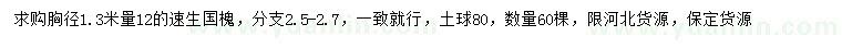 求購1.3米量12公分速生國槐