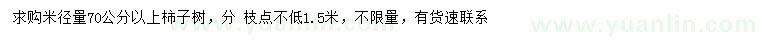 求購米徑70公分以上柿子樹