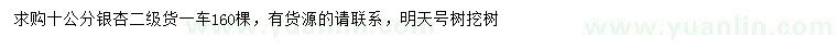 求購10公分銀杏