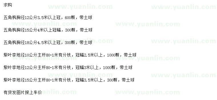 求購胸徑12、15、18公分五角楓、地徑10、12、15公分紫葉李