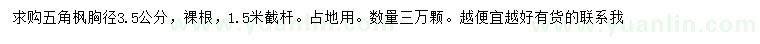 求購胸徑3.5公分五角楓