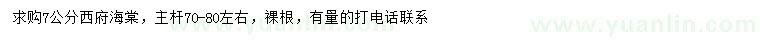 求購7公分西府海棠