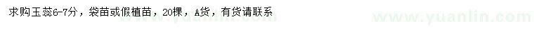求購6-7公分玉蕊