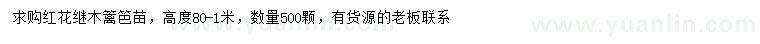 求購高0.8-1米紅花繼木