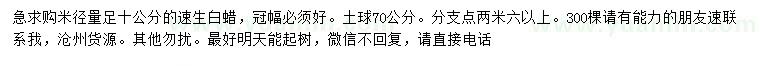 求購米徑10公分速生白蠟