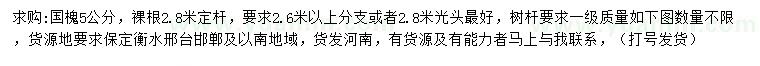 求購(gòu)5公分國(guó)槐