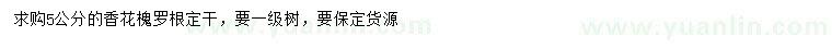 求購5公分香花槐