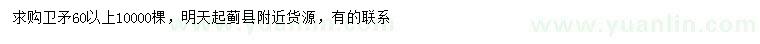 求購60公分以上衛(wèi)矛