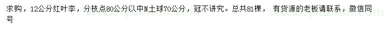 求購12公分紅葉李