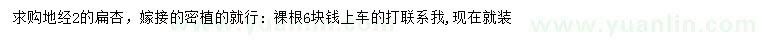 求購地徑2公分扁杏