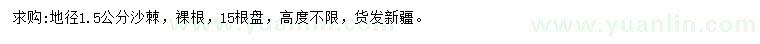 求購地徑1.5公分沙棘