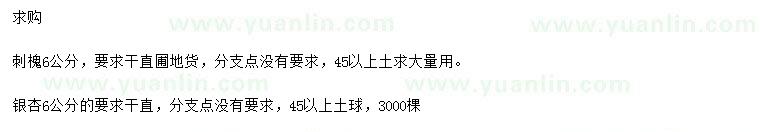 求購6公分刺槐、銀杏