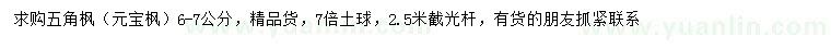 求購(gòu)6-7公分五角楓