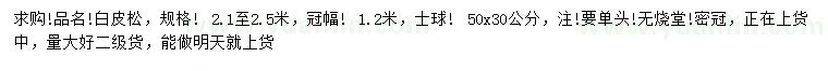 求購2.1-2.5米白皮松