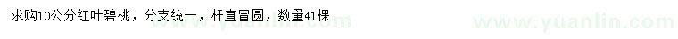 求購10公分紅葉碧桃