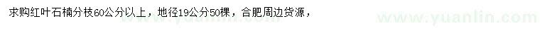 求購地徑19公分紅葉石楠