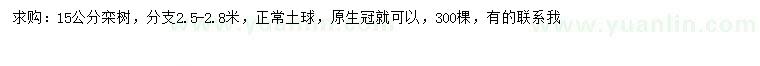 求購(gòu)15公分欒樹(shù)