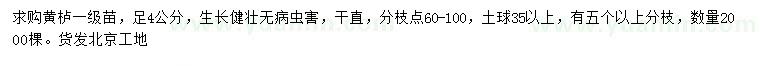 求購4公分黃櫨