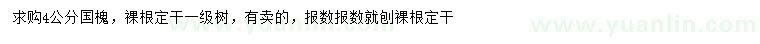 求購(gòu)4公分國(guó)槐