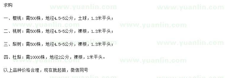 求購櫻桃、桃樹、梨樹等