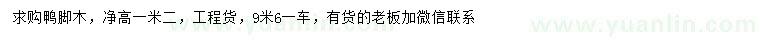 求購高1.2米鴨腳木