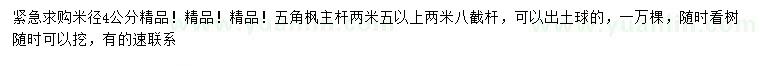 求購米徑4公分五角楓