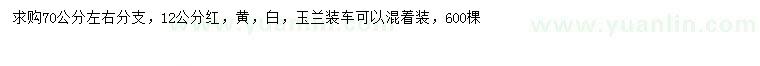 求購(gòu)12公分紅、黃、白玉蘭
