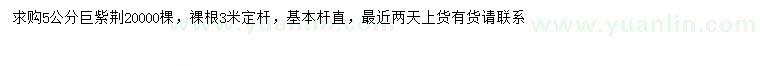 求購5公分巨紫荊