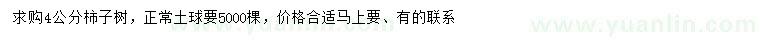 求購4公分柿子樹