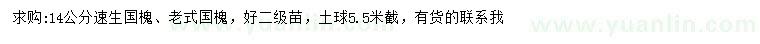 求購14公分速生國槐、老式國槐